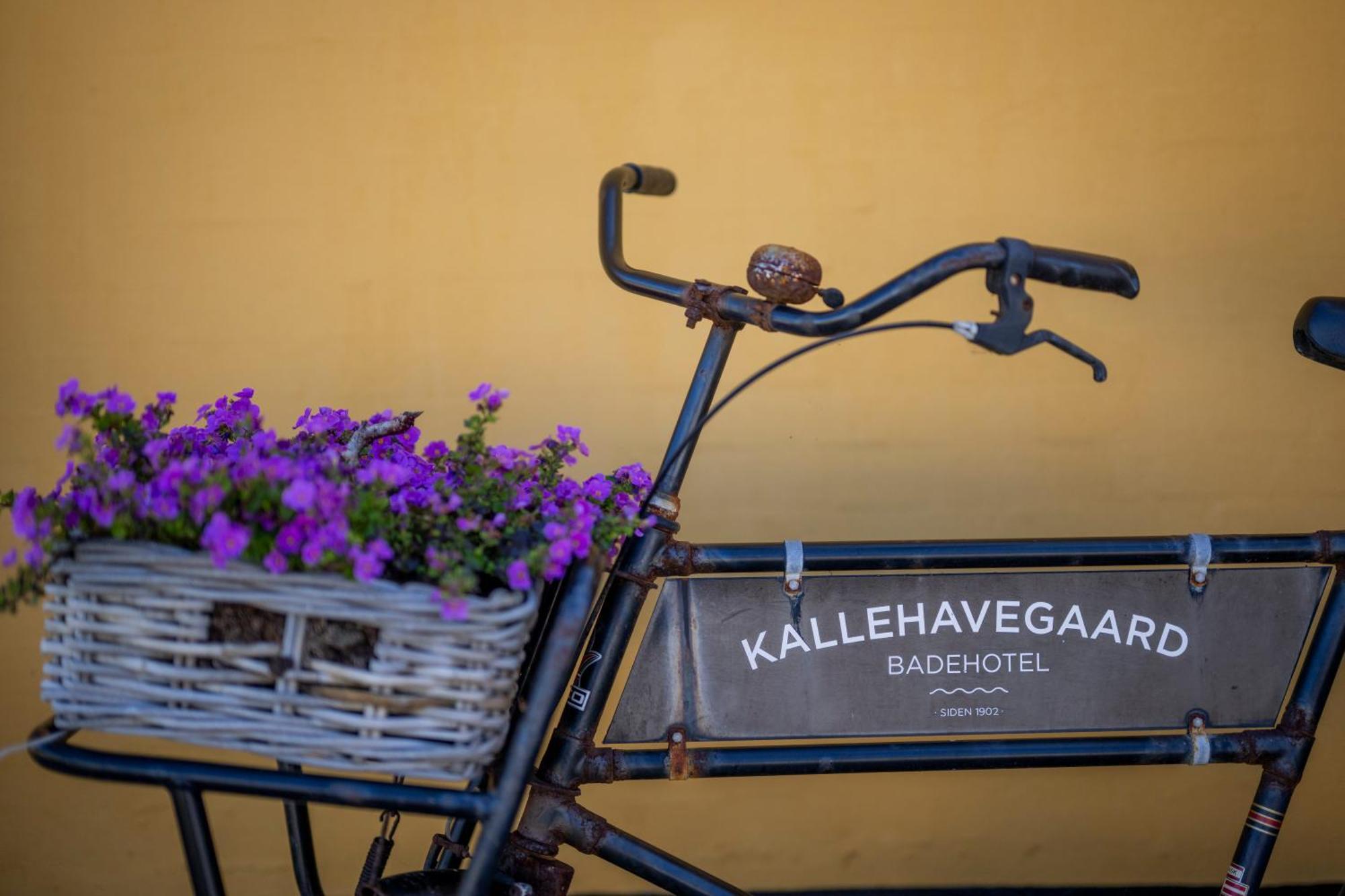 Kallehavegaard Badehotel Løkken Exteriör bild
